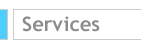 Professional Services